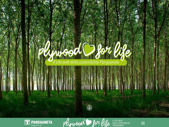 Panguaneta talks about its sustainability program: the new website Plywoodforlife.com is…