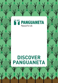 Discover Panguaneta